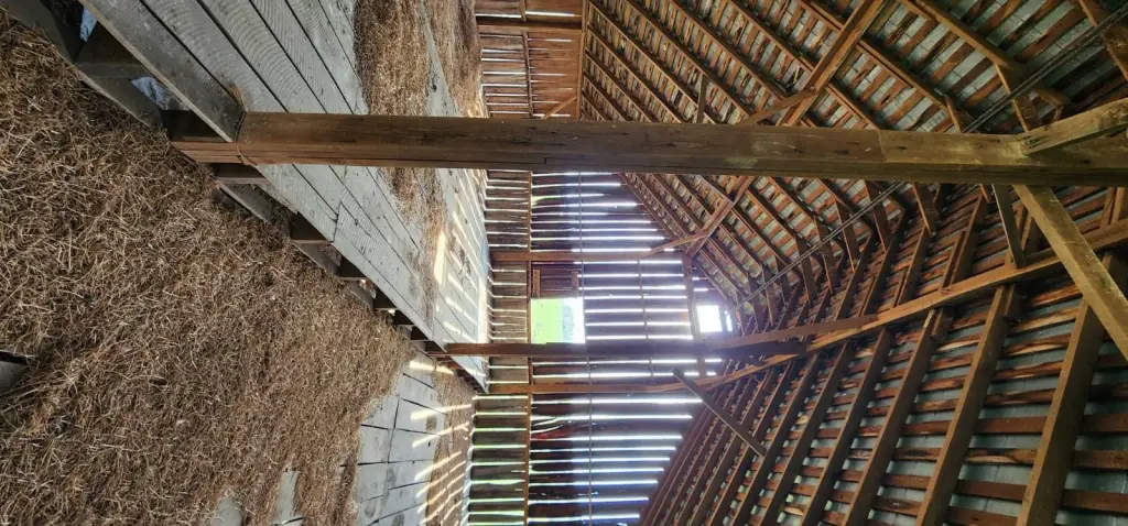 Picture 23