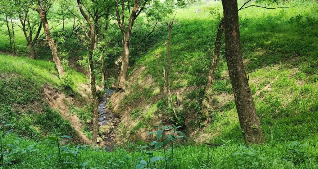 Picture 27
