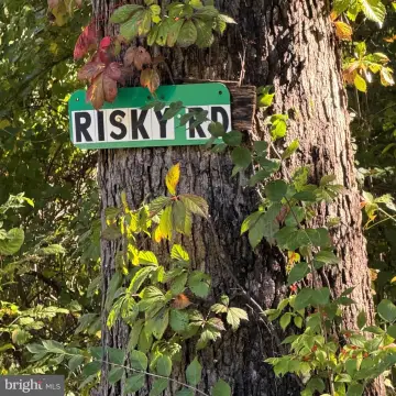 Recreational Land with Forest Access