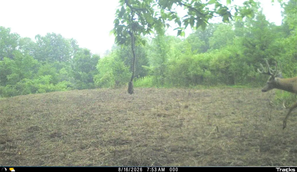 Picture 41