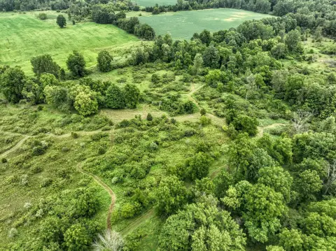 Hunting Land with Build Site