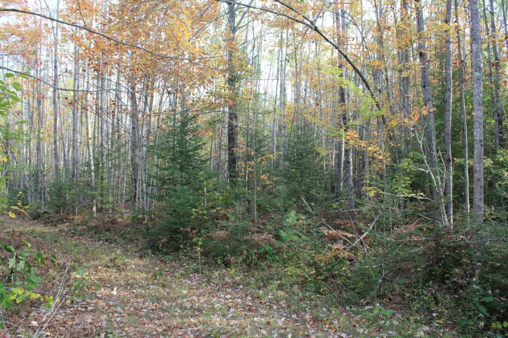 Picture 20