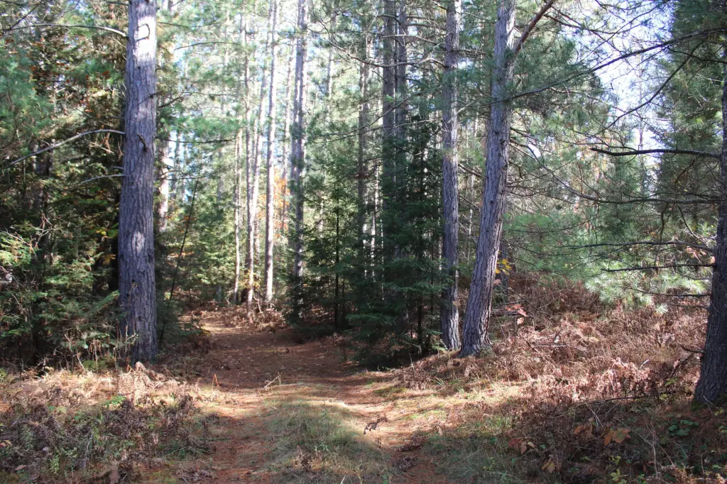 Picture 27