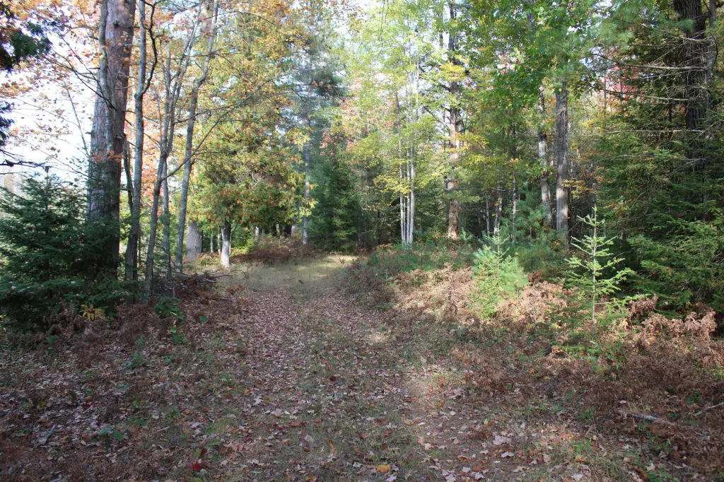 Picture 17