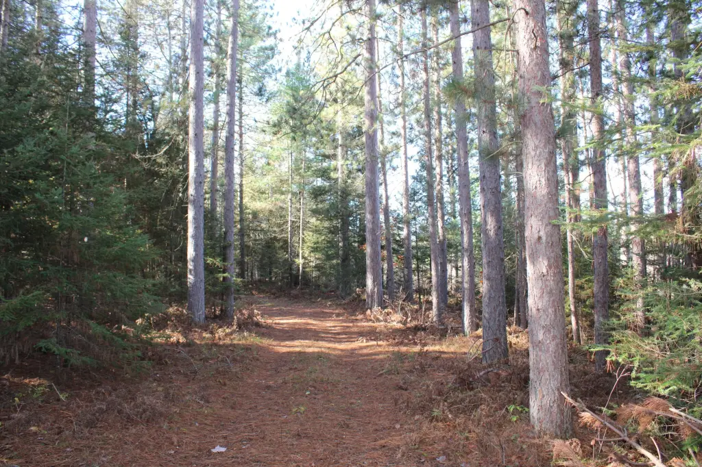Picture 23