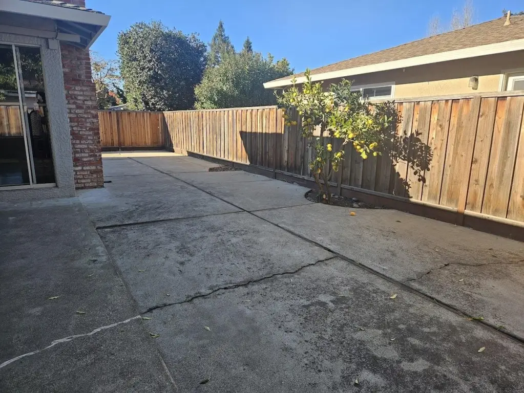 Picture 14