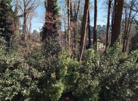 Pine Lake Building Lot