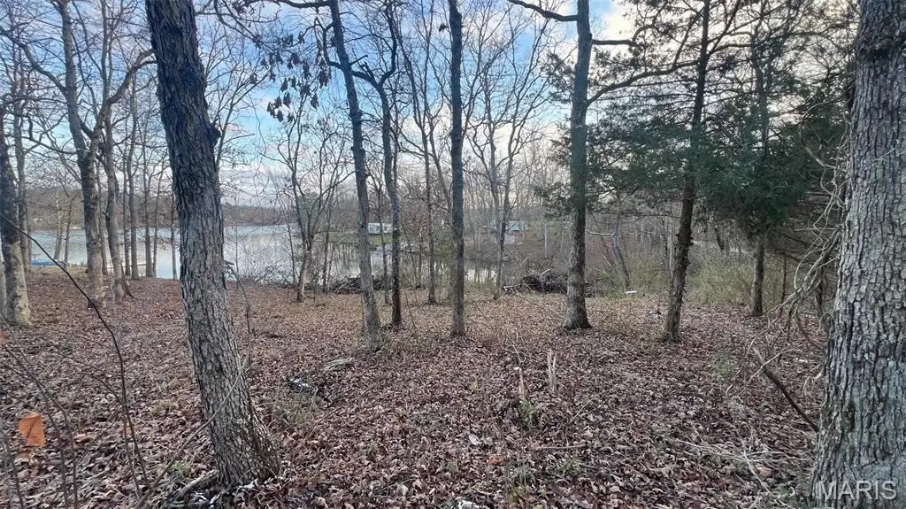 Picture 5