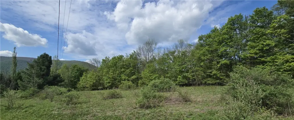 Picture 9