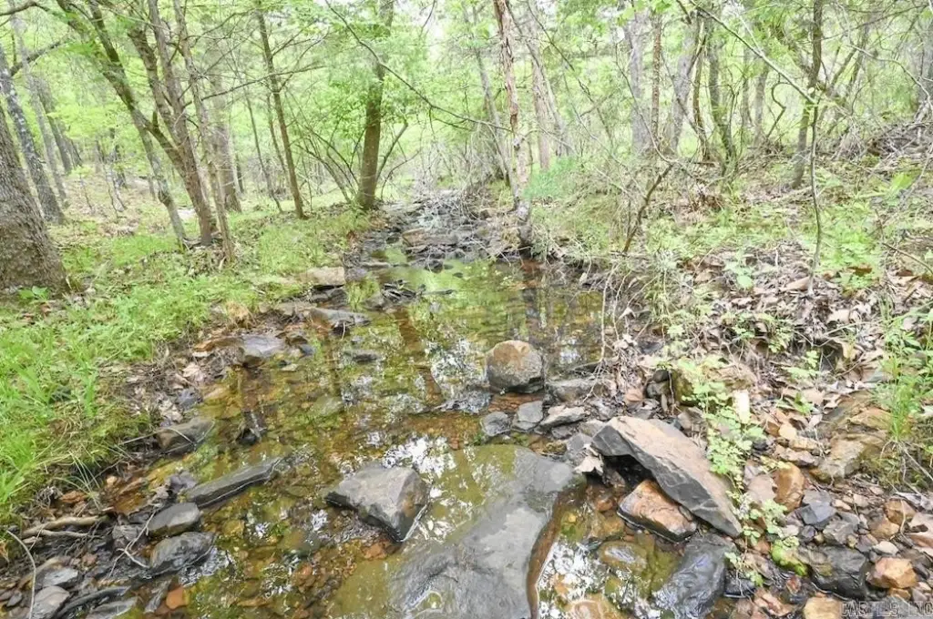Picture 38