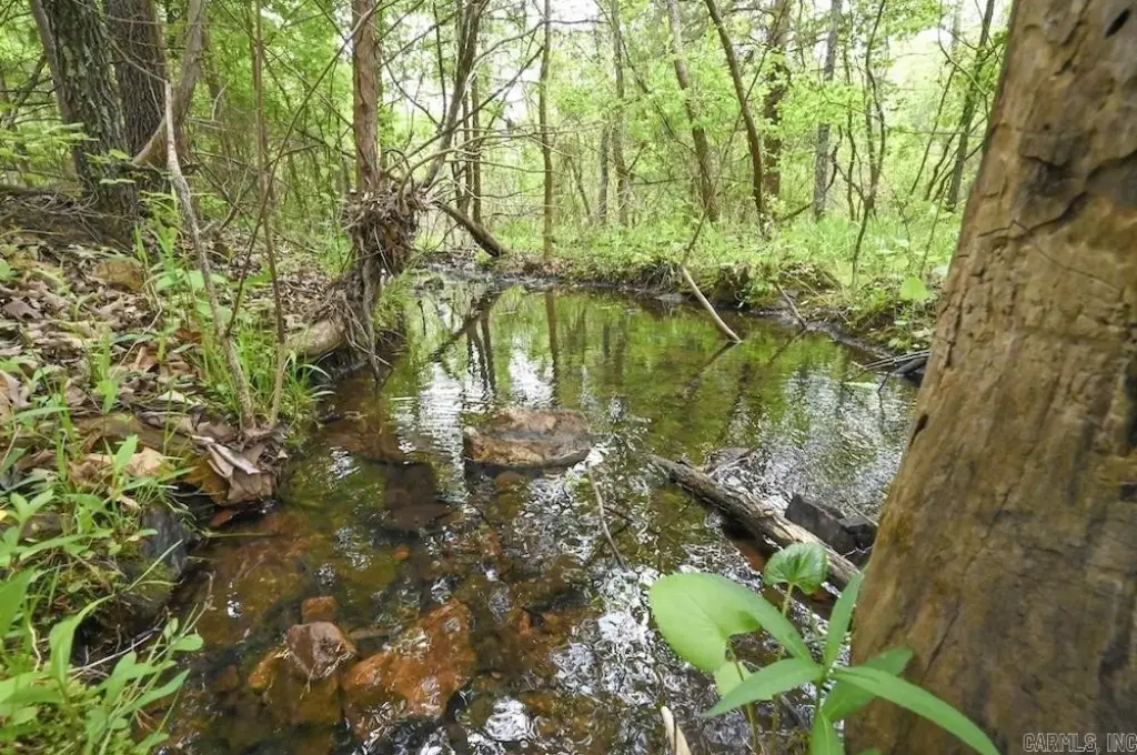 Picture 40