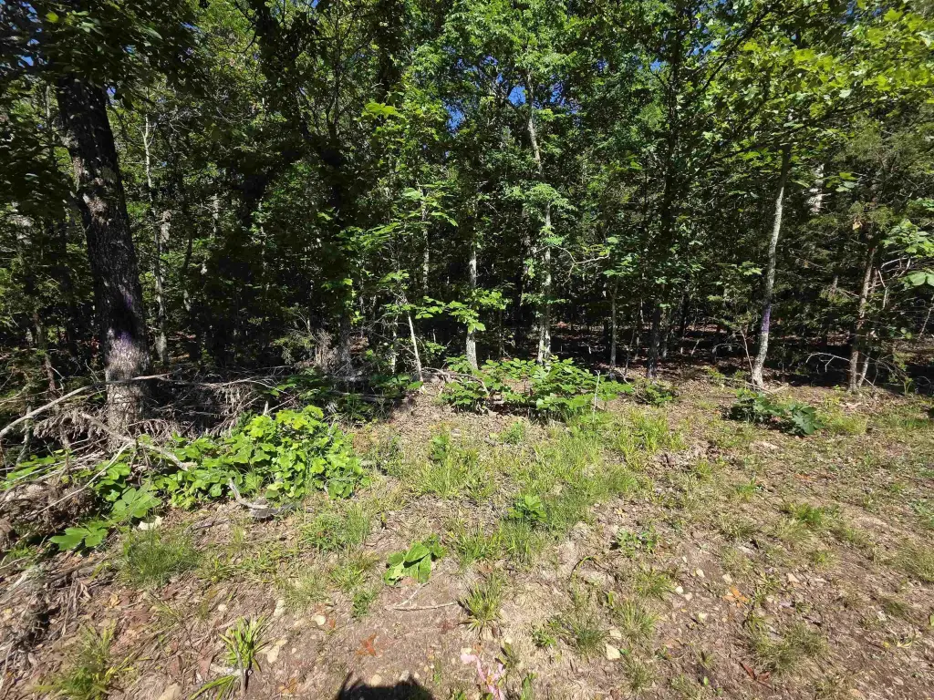 Picture 9