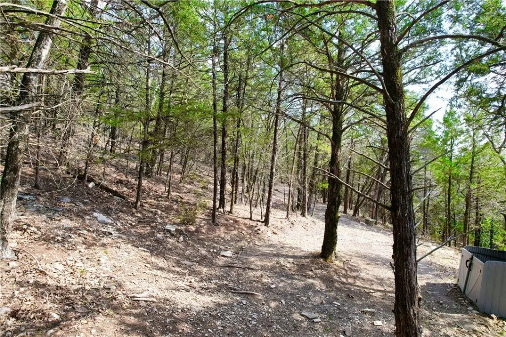 Picture 16