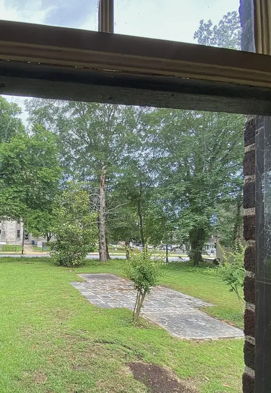 Picture 21