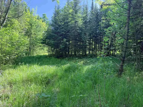 Land with Trail Access
