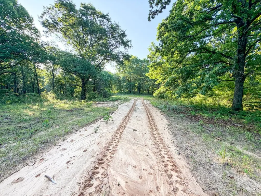 Picture 42