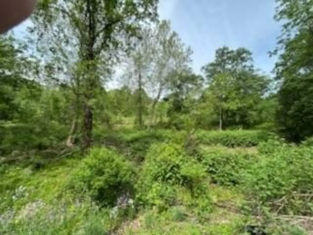 Picture 19