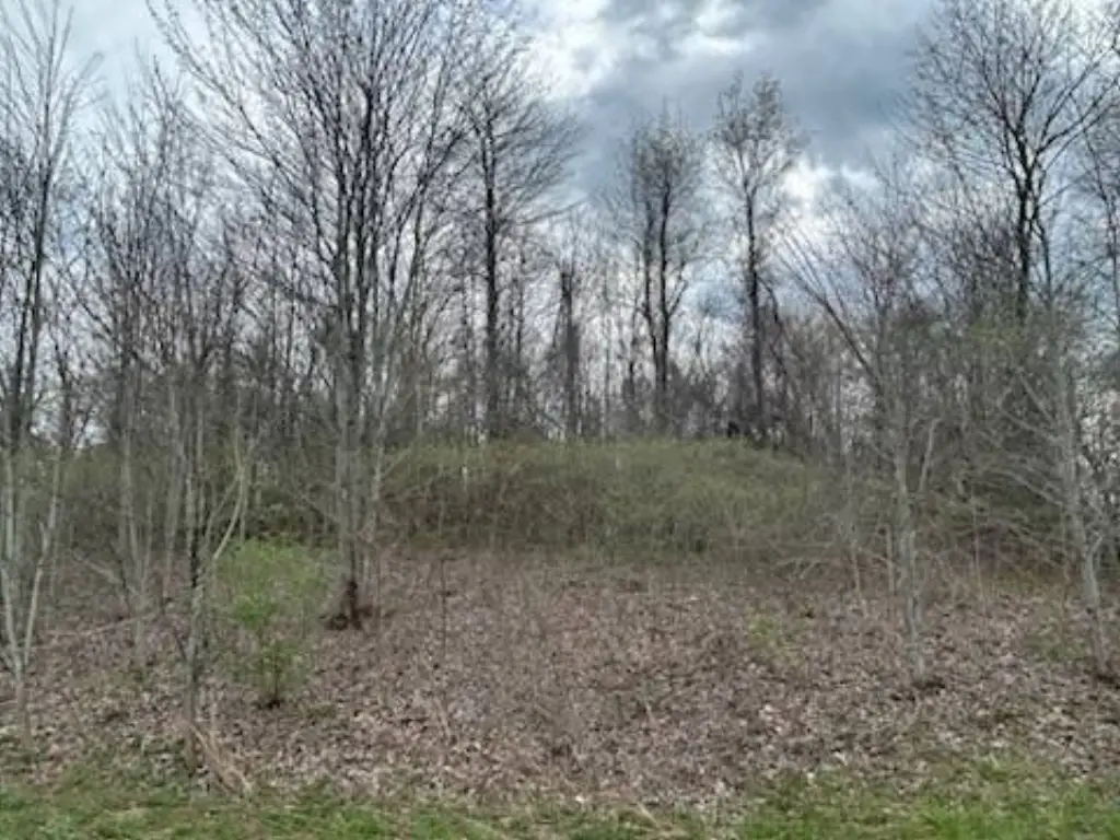 Picture 15