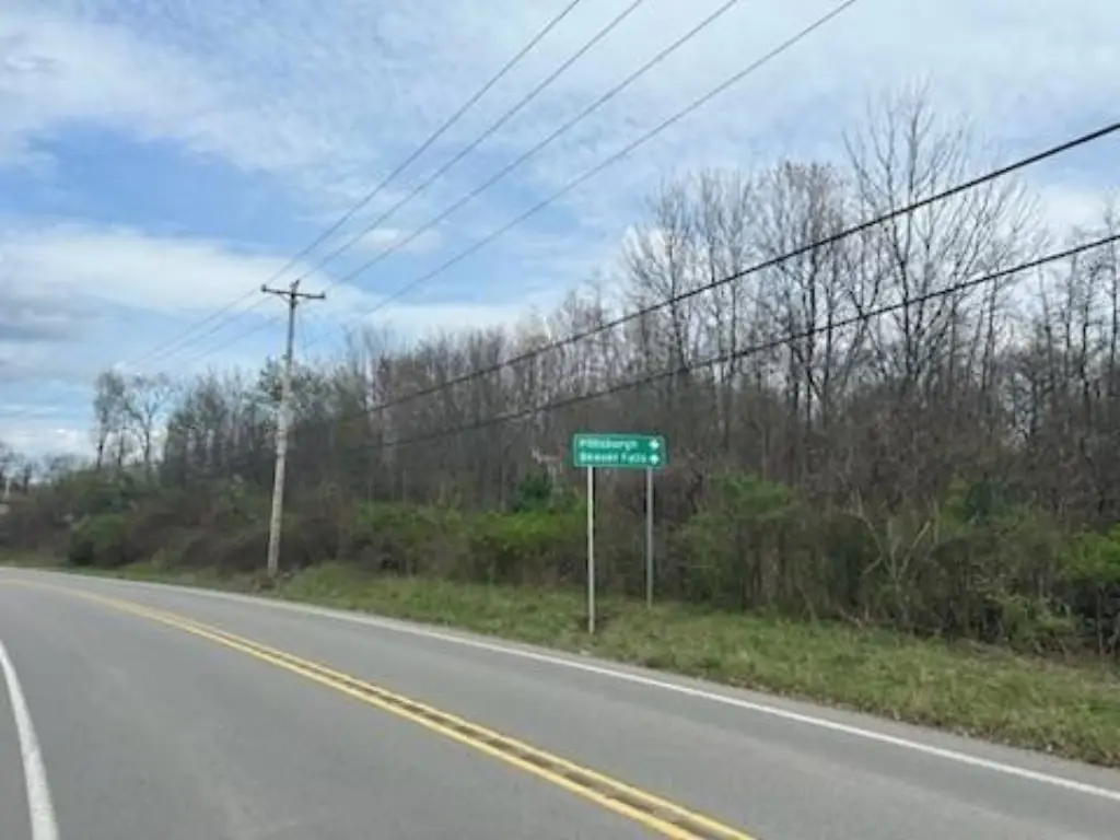 Picture 8