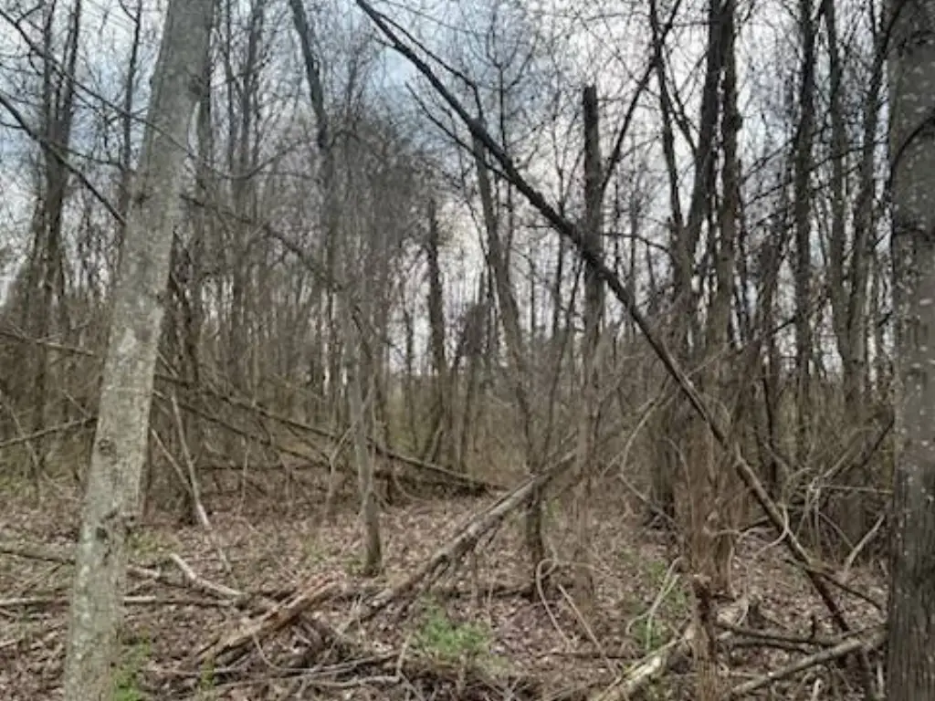 Picture 18