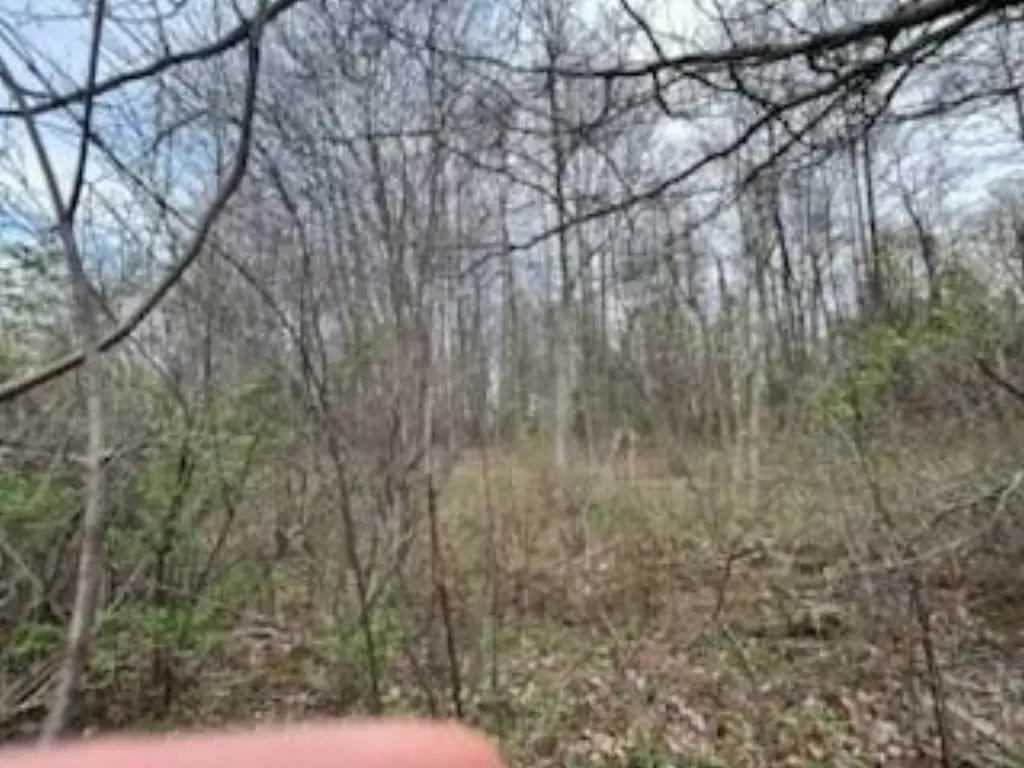 Picture 11