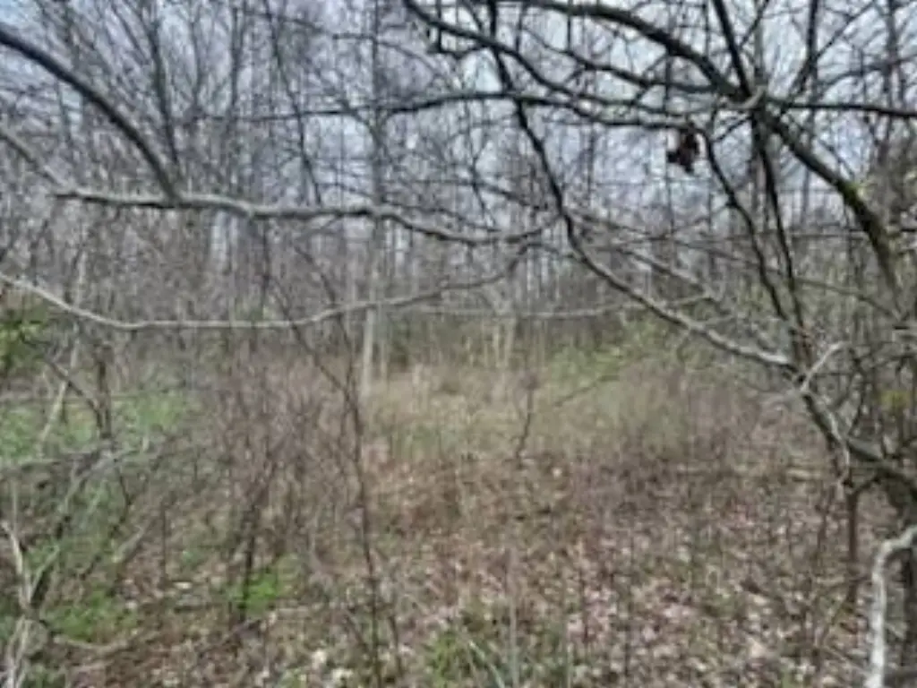 Picture 9