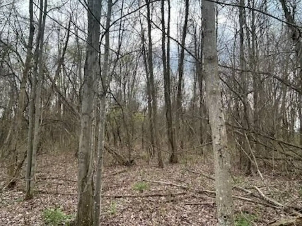 Picture 17