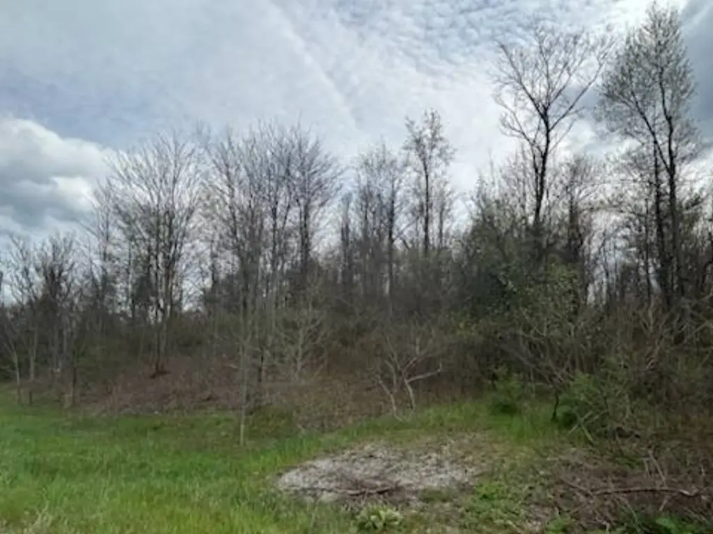 Picture 14