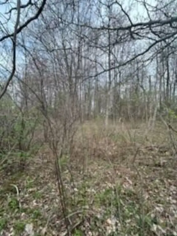 Picture 10
