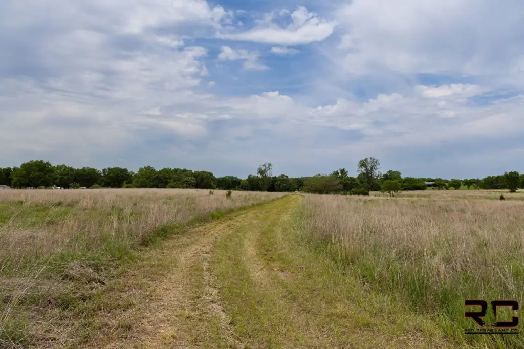 Picture 38