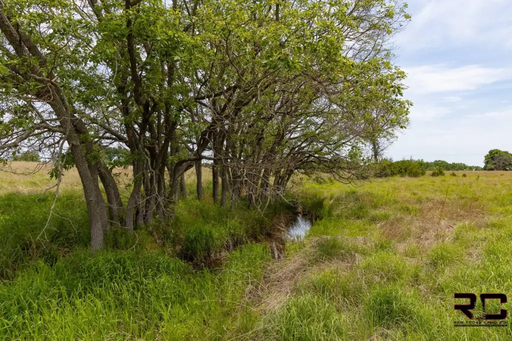 Picture 43