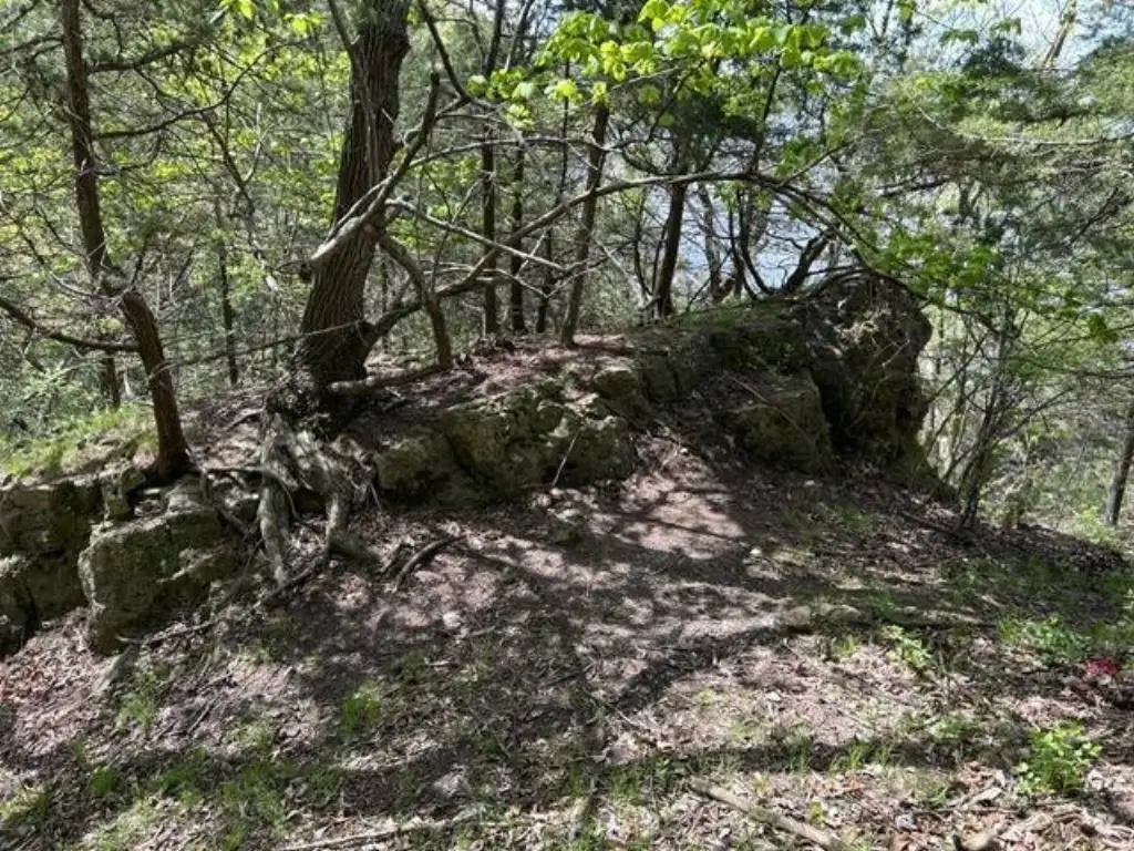 Picture 18