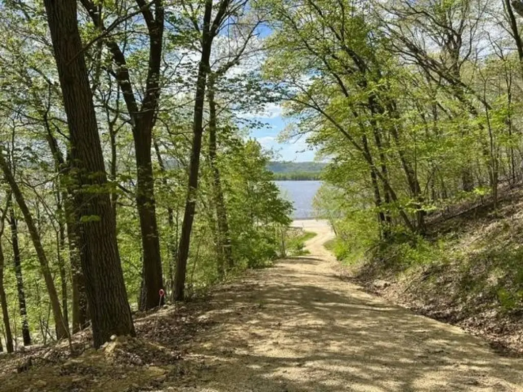 Picture 2