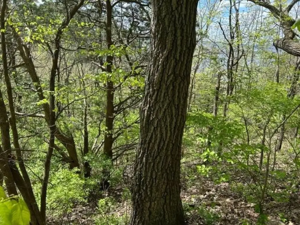 Picture 16