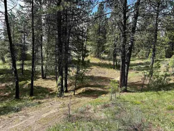 5.26 Acres Boise National Forest