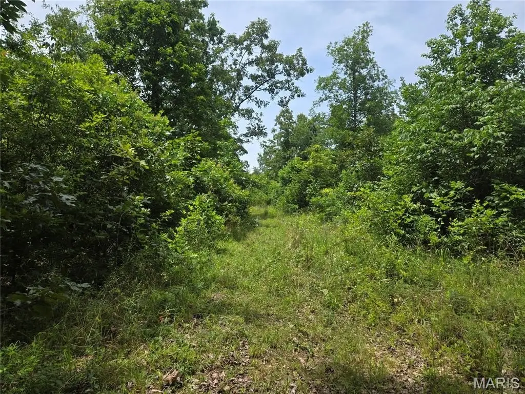 Picture 14
