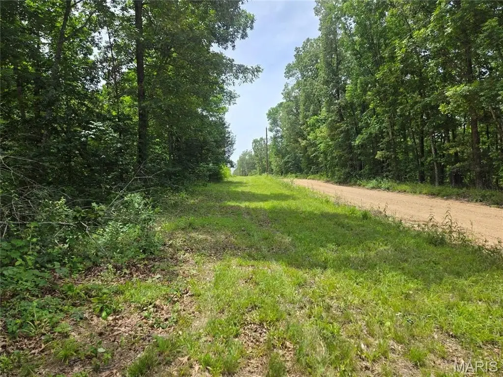 Picture 19