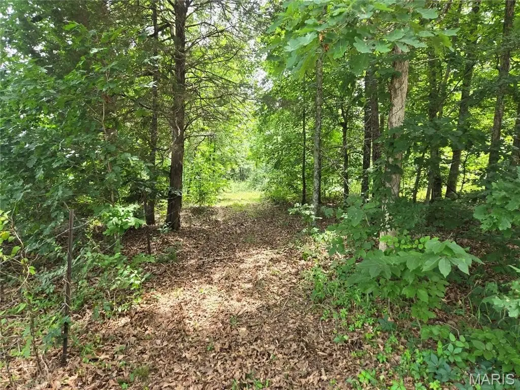 Picture 17