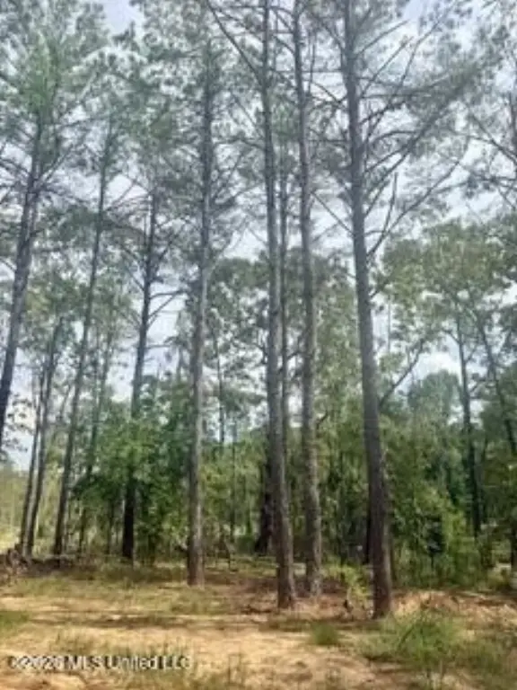 Picture 21