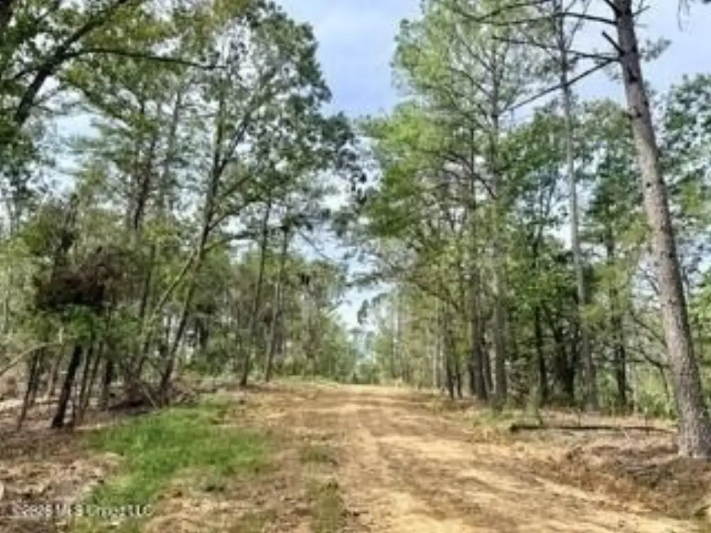 Picture 10