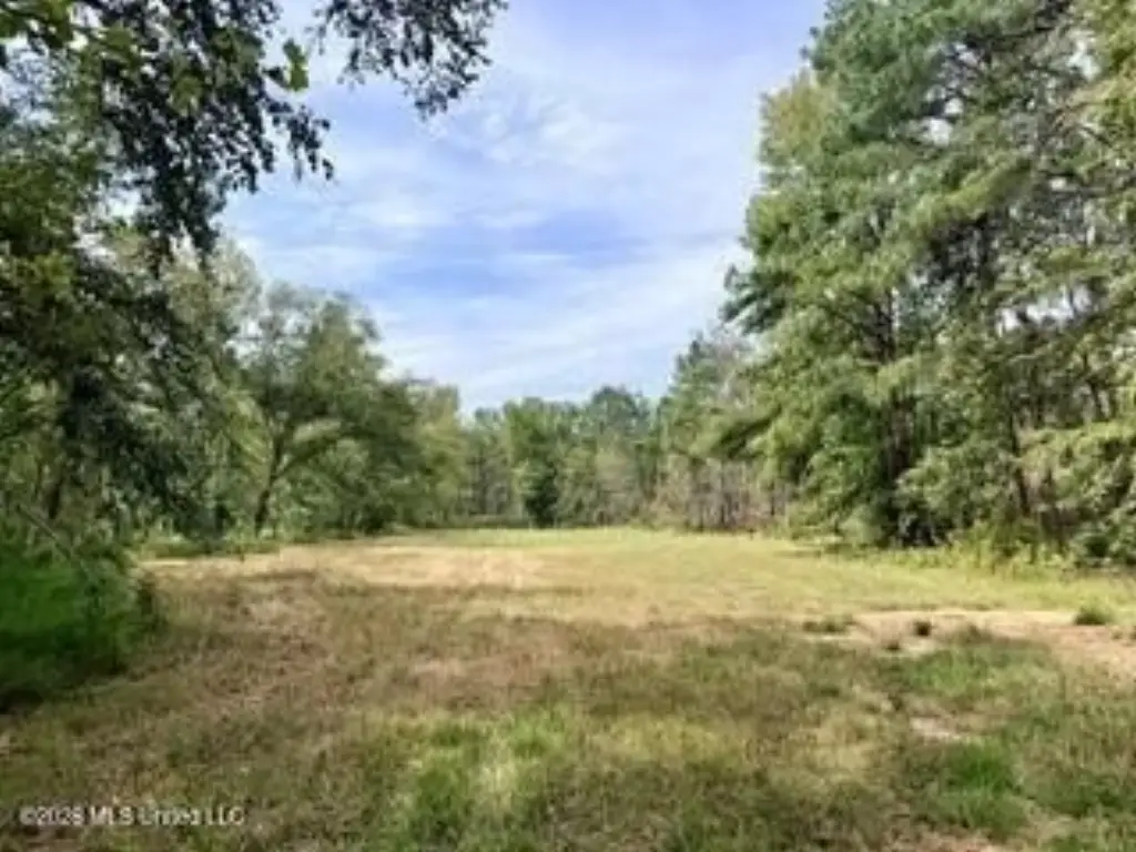 Picture 12