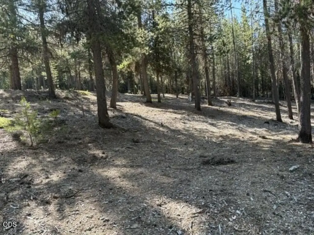 Picture 18