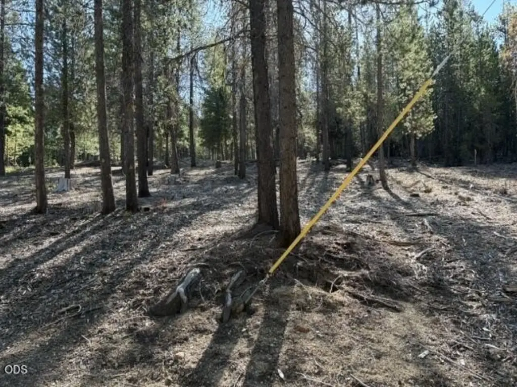 Picture 24