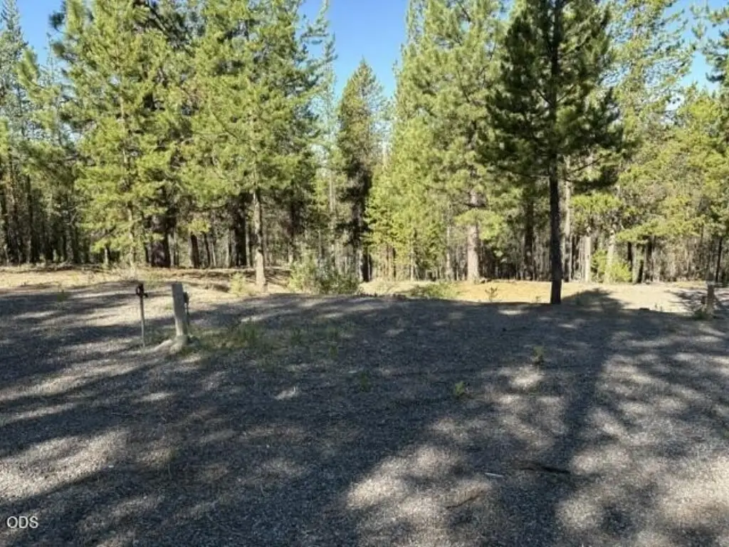 Picture 10