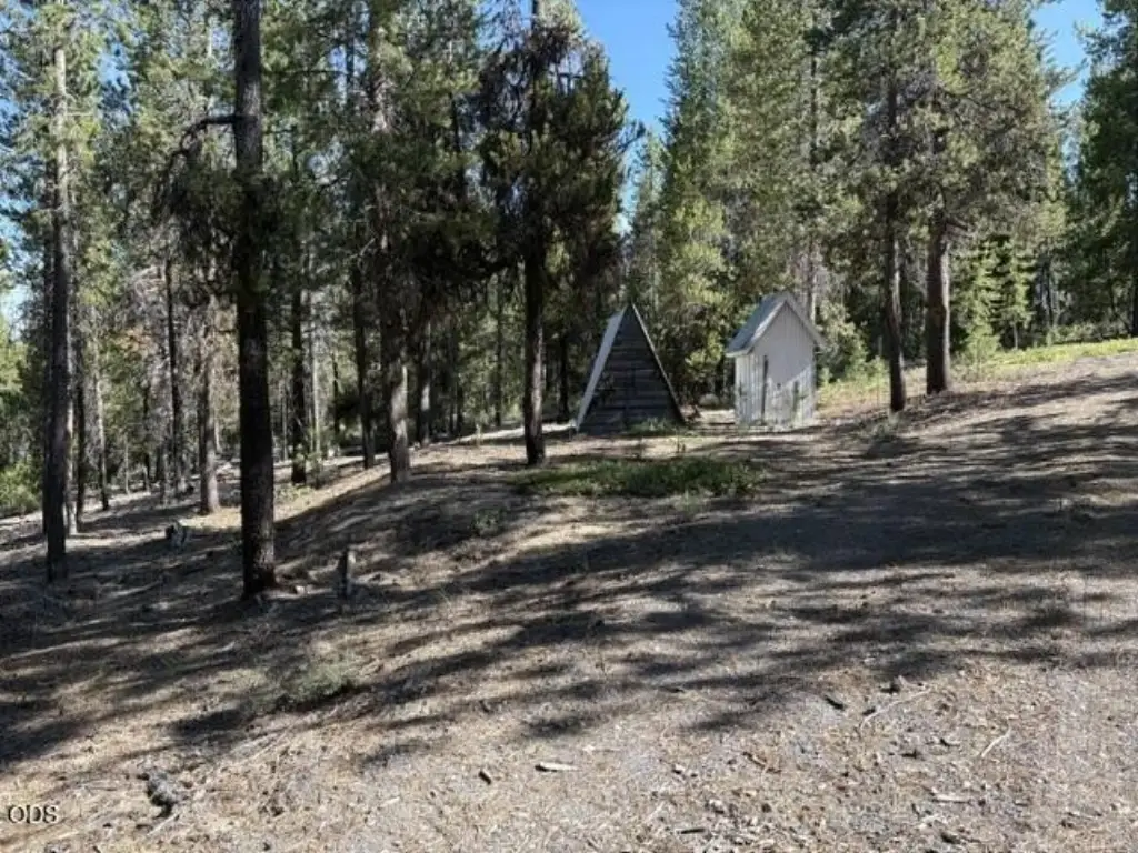 Picture 21