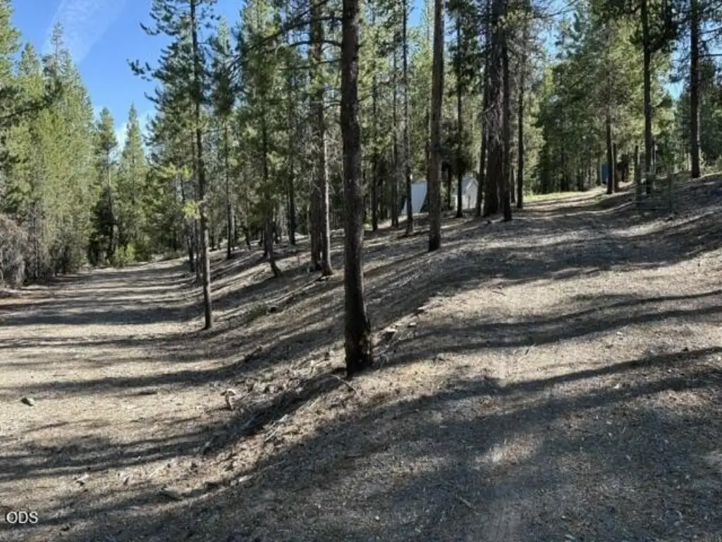 Picture 25