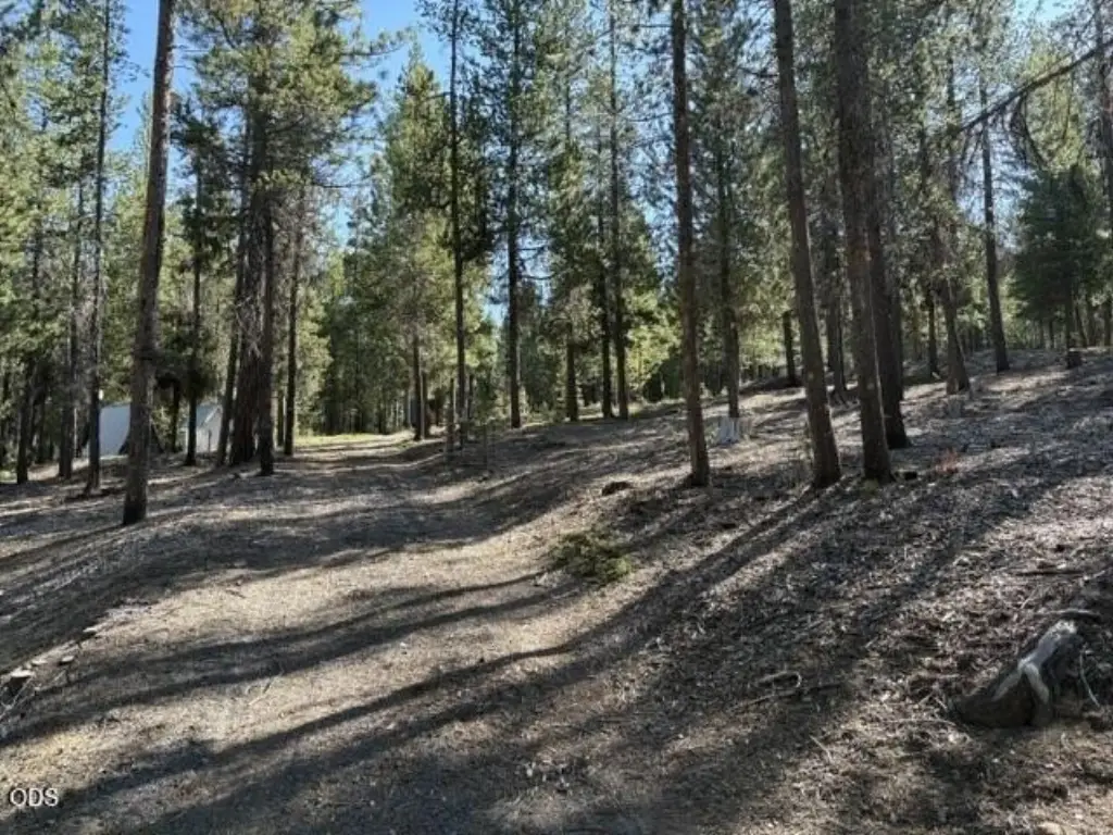 Picture 23