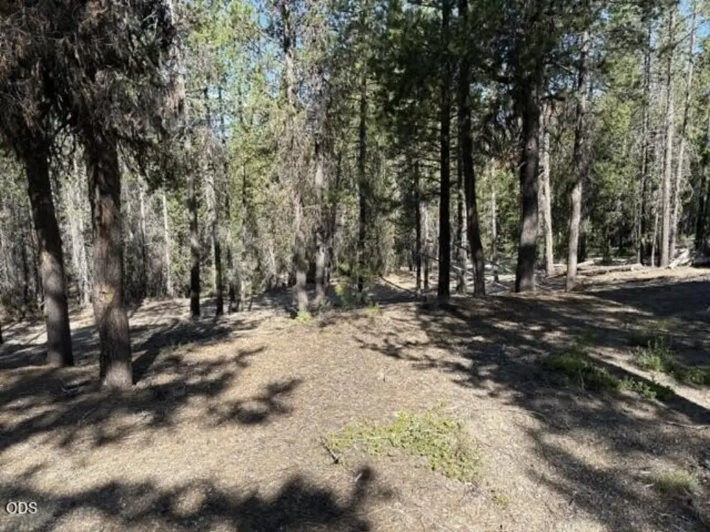 Picture 16
