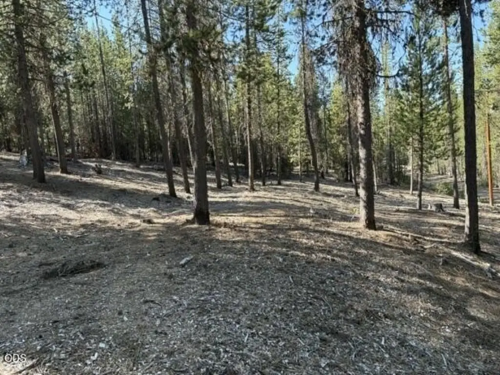 Picture 17