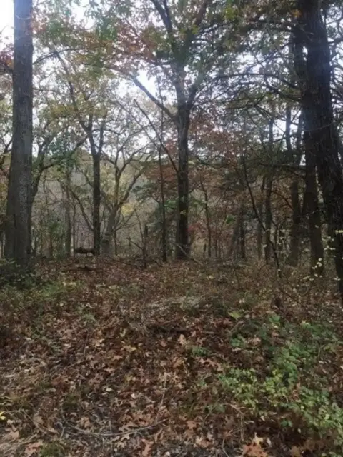 Lake Community Treed Lot